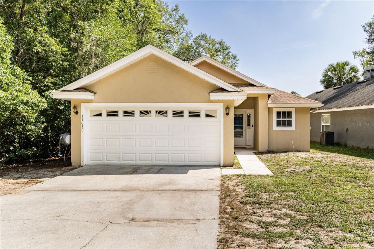 31080 Lochmore Circle , Sorrento, FL 32776 Photo