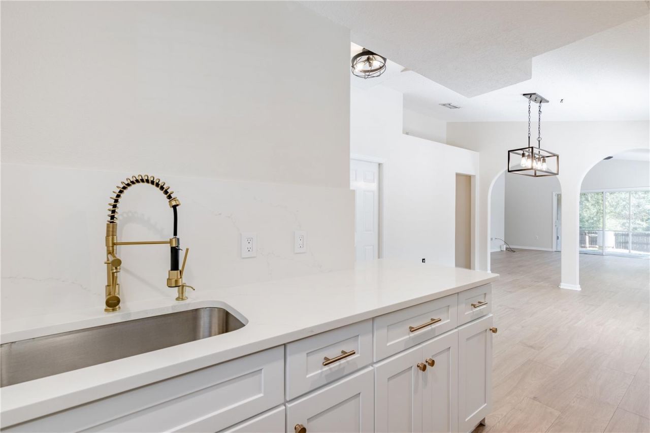 31080 Lochmore Circle , Sorrento, FL 32776 Photo
