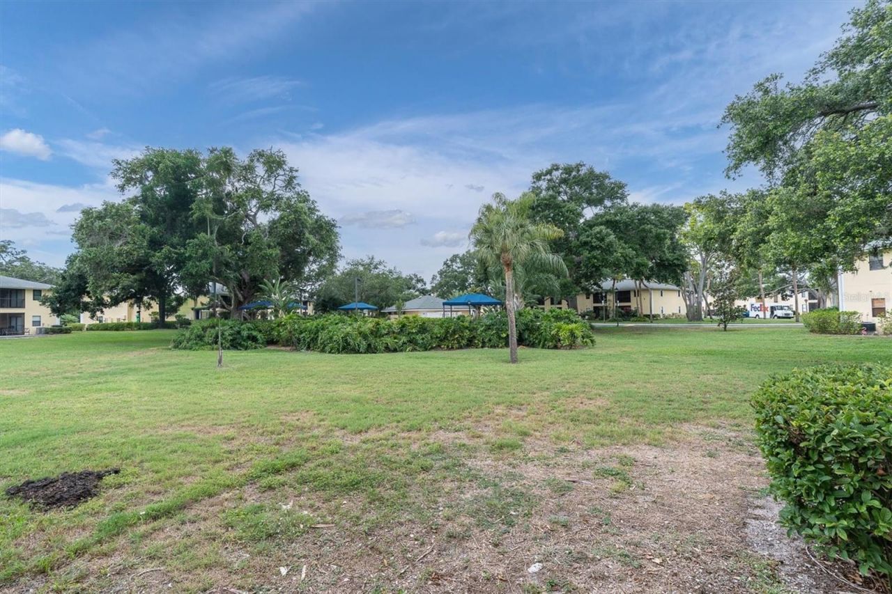 3001 58th Avenue S, Unit 1211, Saint Petersburg, FL 33712 Photo