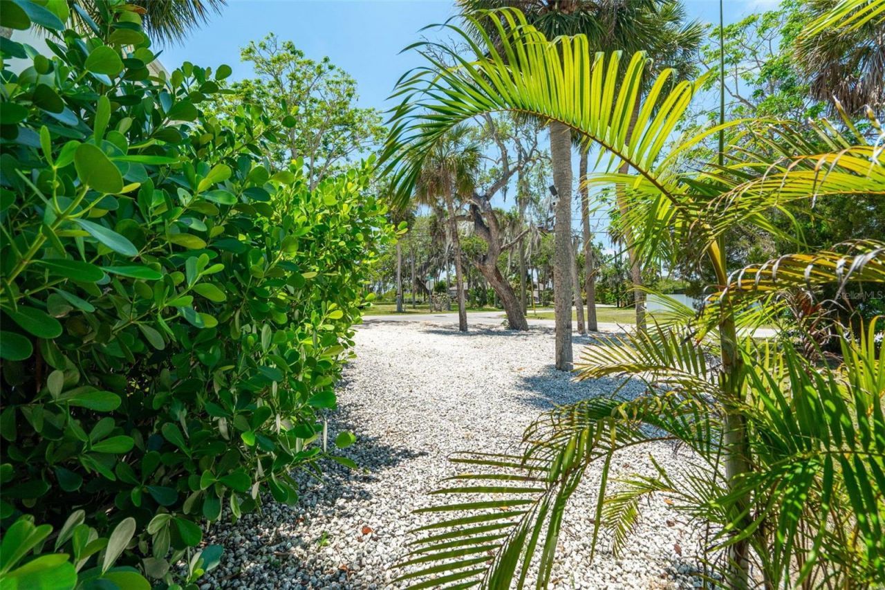 4817 Limestone Drive , Port Richey, FL 34668 Photo
