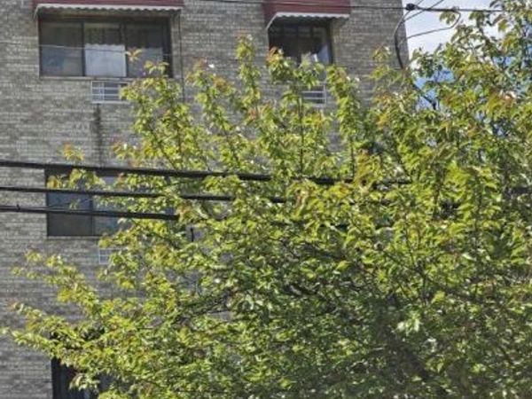 720 E 220th Street , Bronx, NY 10467