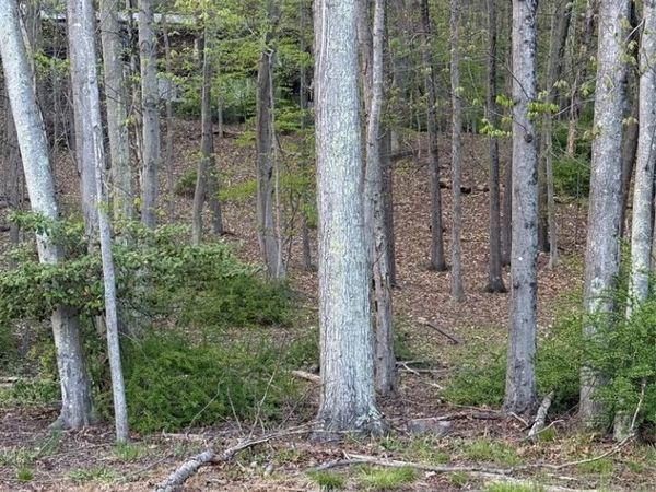 78 Deerhaven, MAHWAH, NJ 07430