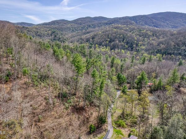 155 Tower Road, Roan Mountain, TN 37687
