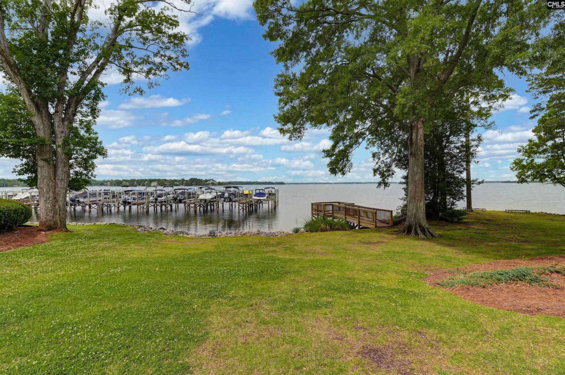 1441 Old Chapin Road  Photo 32