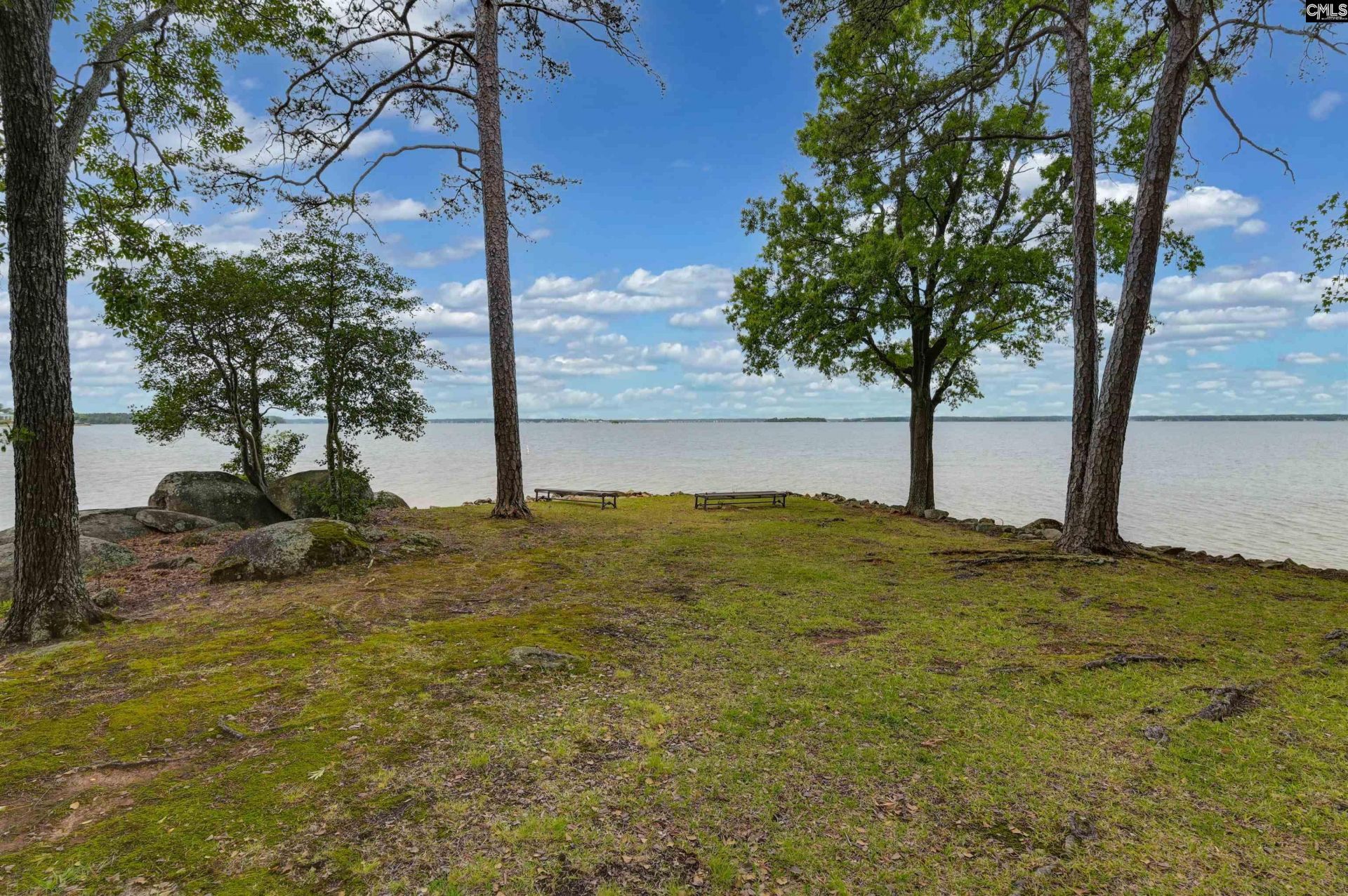 1441 Old Chapin Road  Photo 34