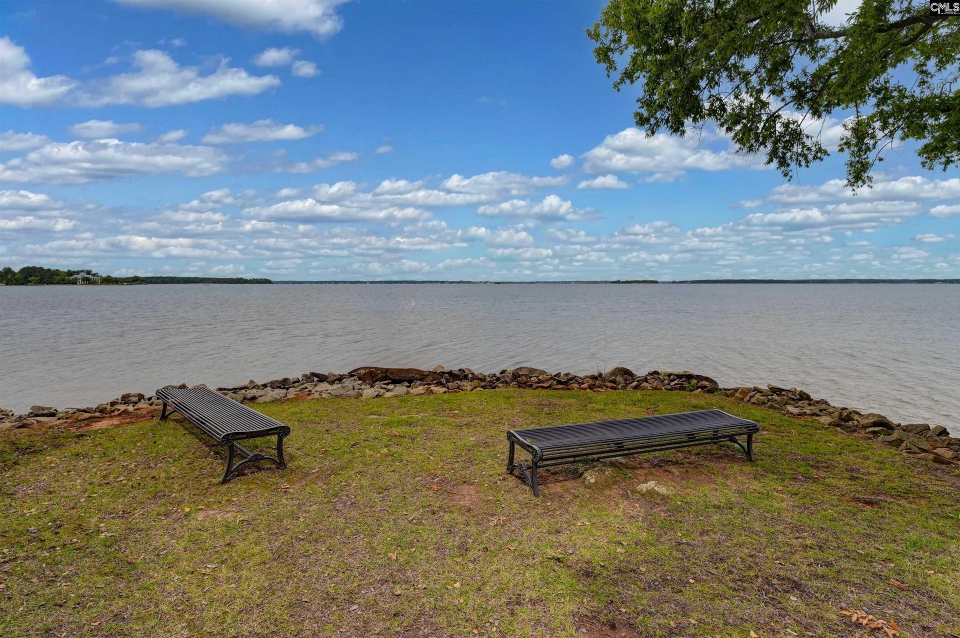 1441 Old Chapin Road  Photo 35
