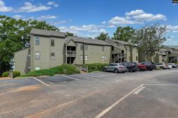 1441 Old Chapin Road  photo 4