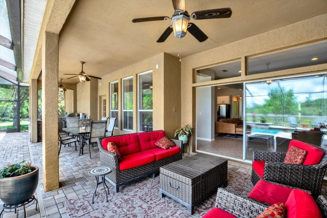 7518 Ambleside Drive, Land O Lakes, FL 34637 Photo