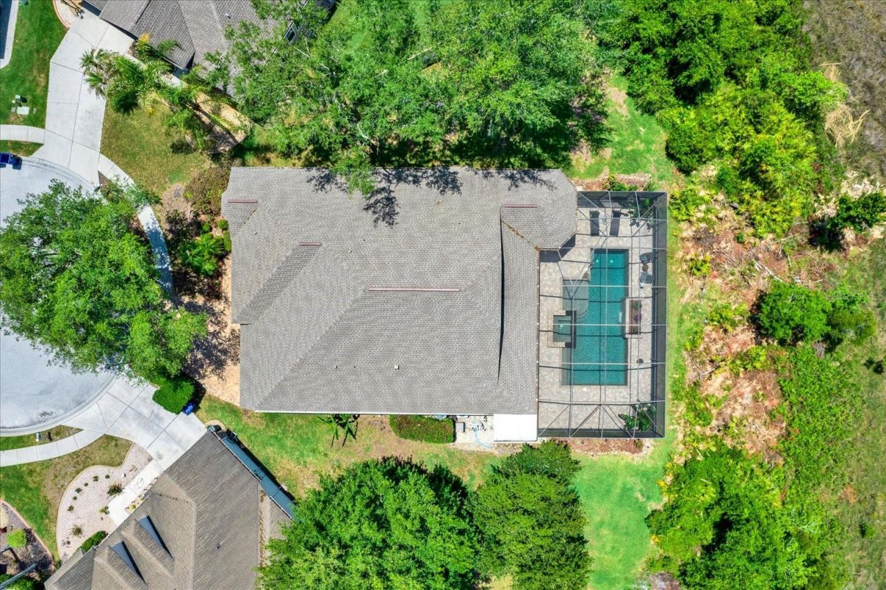 7518 Ambleside Drive, Land O Lakes, FL 34637 Photo