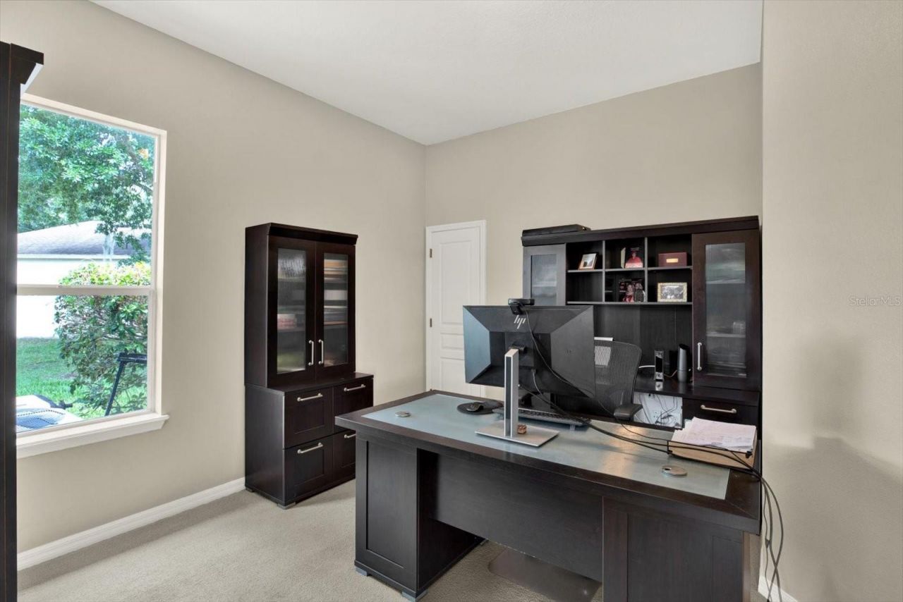 7518 Ambleside Drive, Land O Lakes, FL 34637 Photo