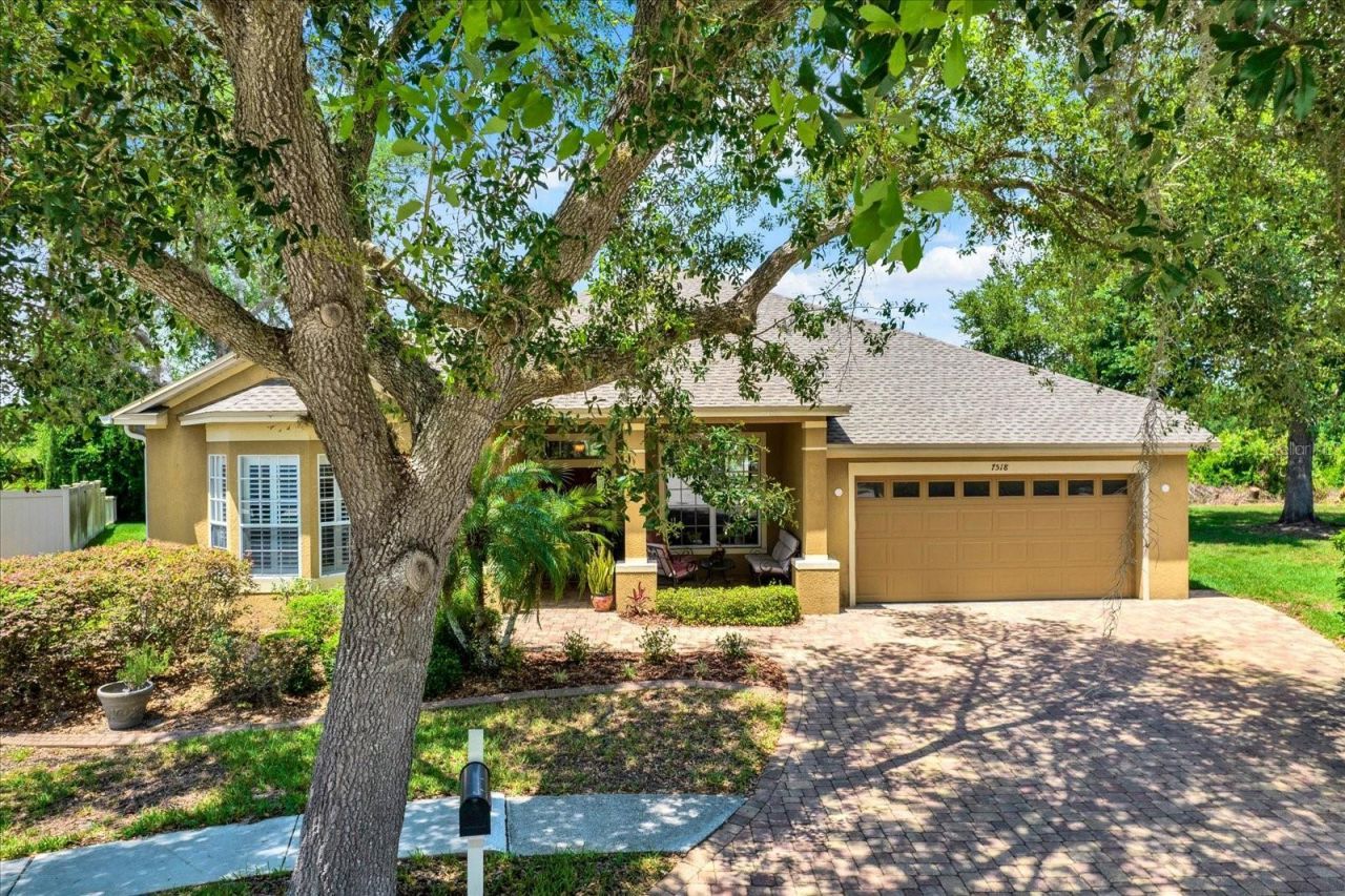 7518 Ambleside Drive, Land O Lakes, FL 34637 Photo