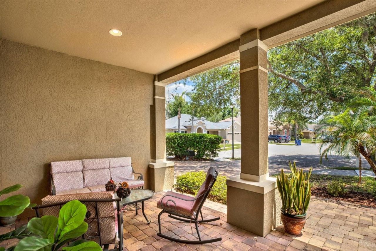 7518 Ambleside Drive, Land O Lakes, FL 34637 Photo