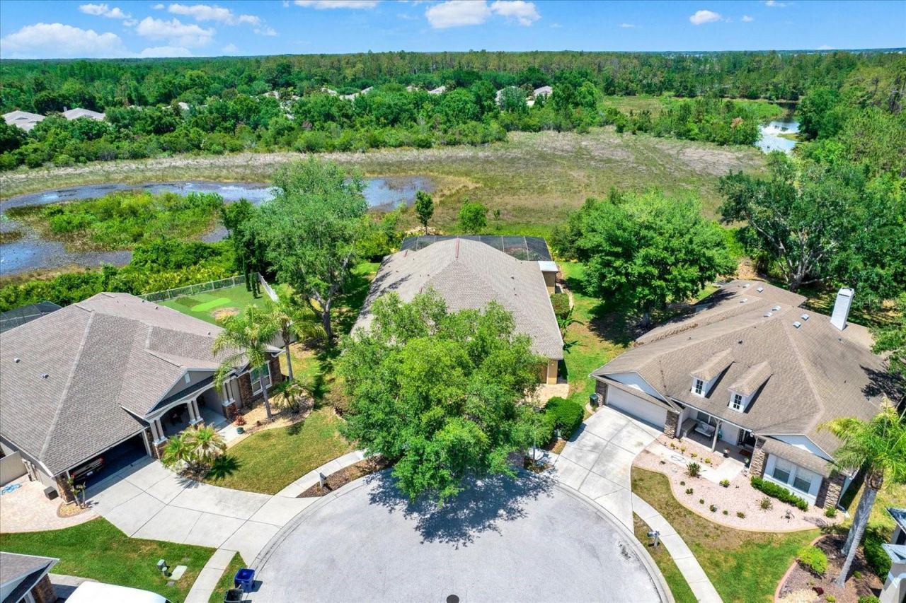 7518 Ambleside Drive, Land O Lakes, FL 34637 Photo