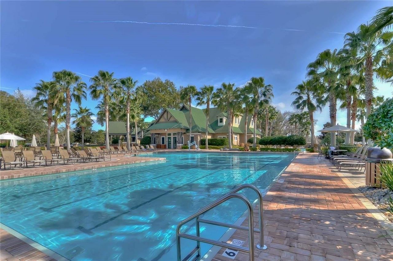 7518 Ambleside Drive, Land O Lakes, FL 34637 Photo