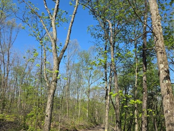 2210 Ramer Rd , Shelocta, PA 15774