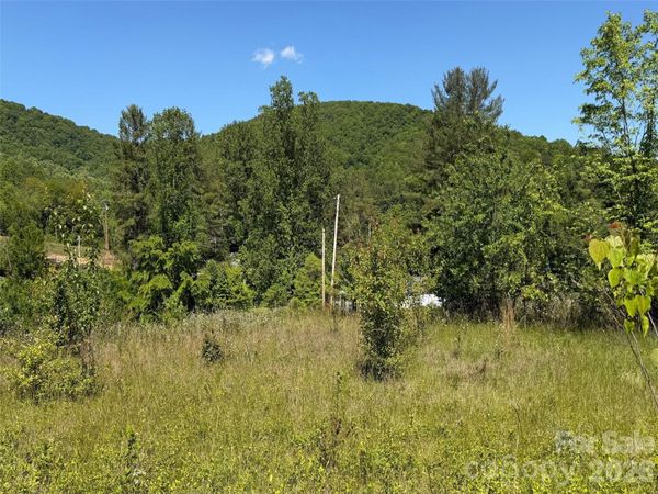 99999 S Morgan Branch Road , Candler, NC 28715
