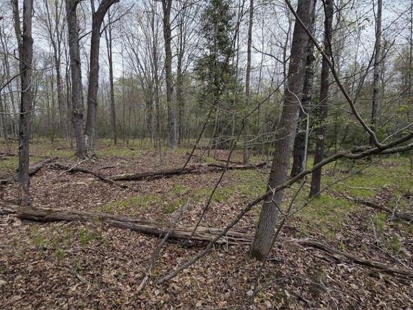 CHAPIN ROAD, Wausaukee, WI 54177