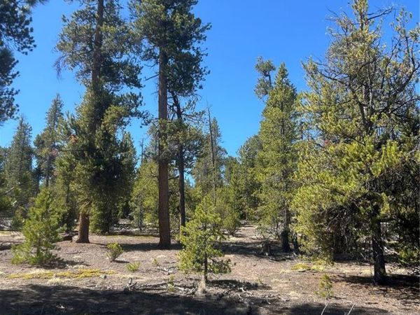 266 Ponderosa Drive , Leadville, CO 80461