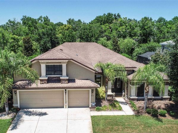 15141 AZRA DRIVE , ODESSA, FL 33556