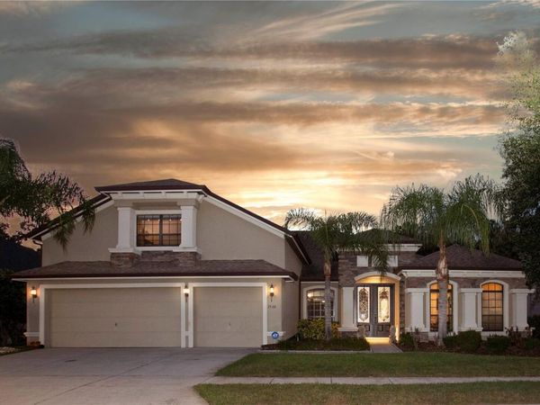 15141 AZRA DRIVE , ODESSA, FL 33556