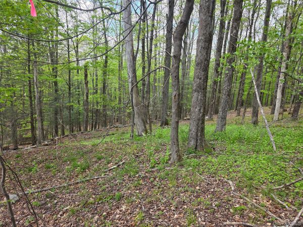 Wade Road Road , Fallsburg, NY 12733