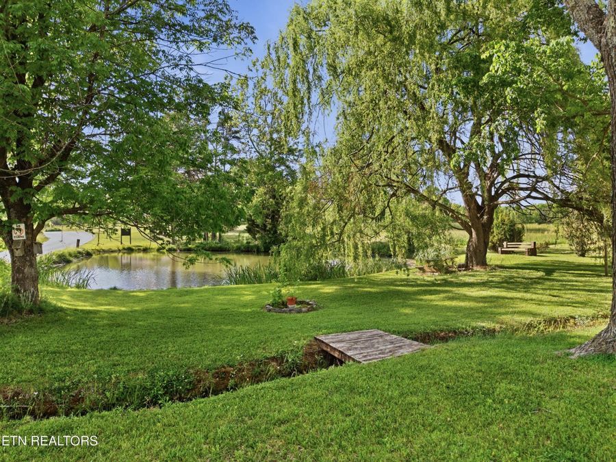 Property Image 55