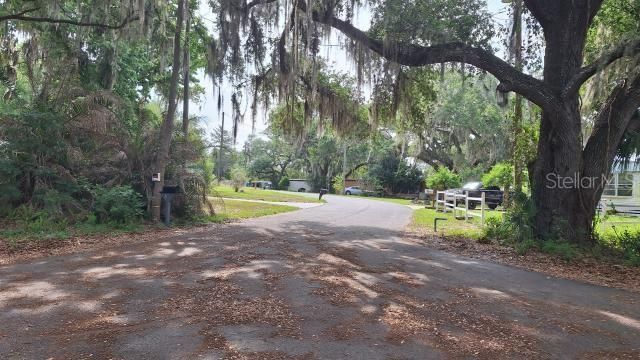 8033 E Gobbler Court, Floral City, FL 34436 Photo