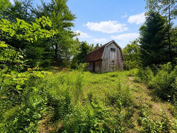 2900 Old Duck Pond Road, Sheffield, VT 05866