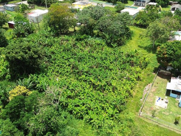 1 CORRALES, Aguadilla, PR 00603