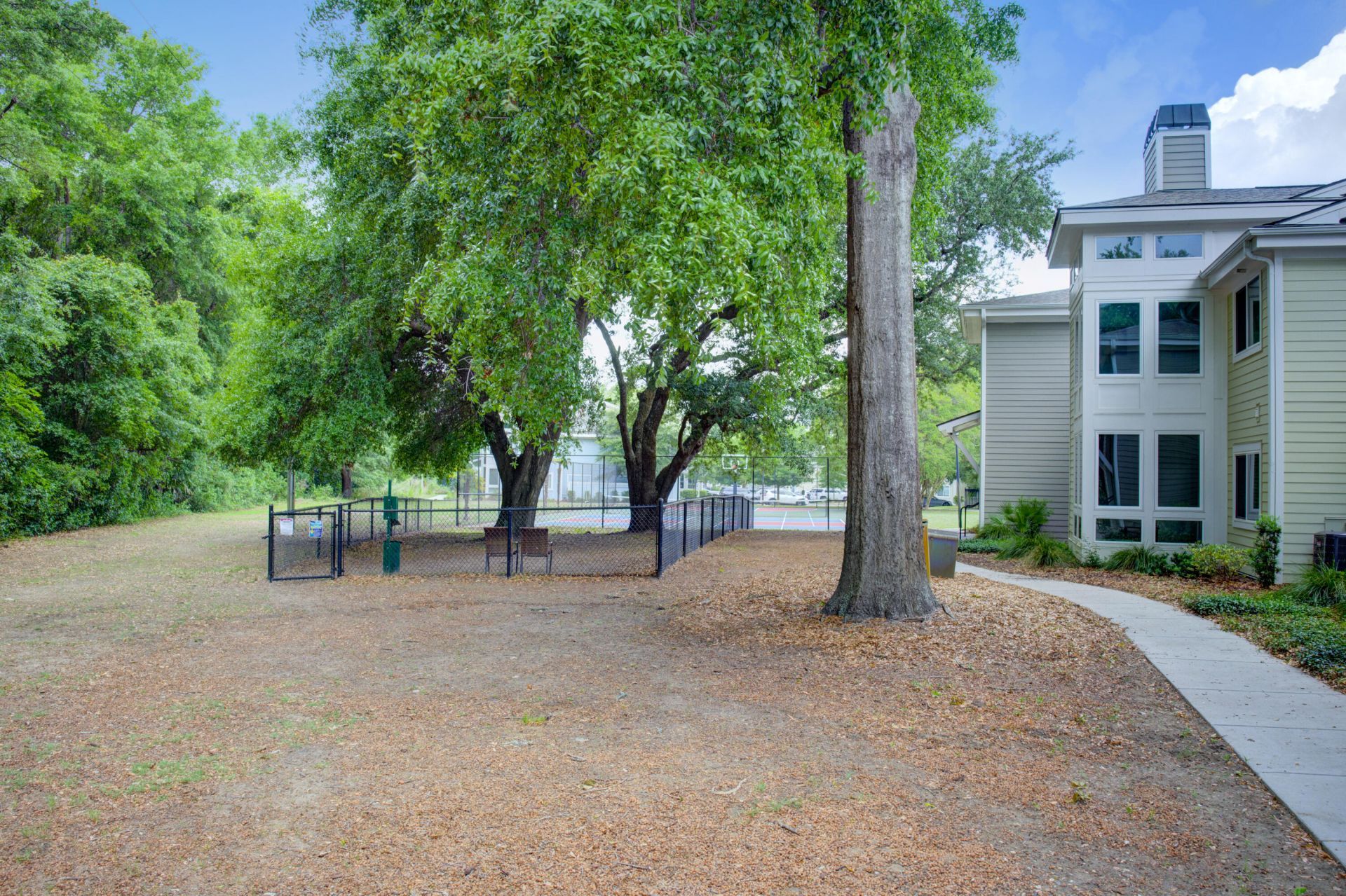 272 Alexandra Drive Photo 41