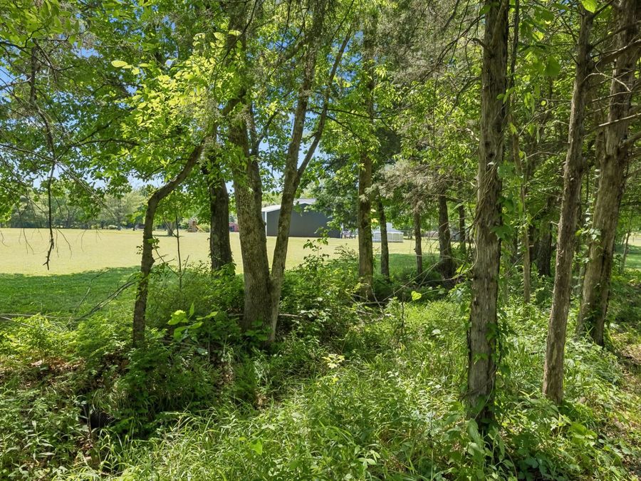 Property Image 52