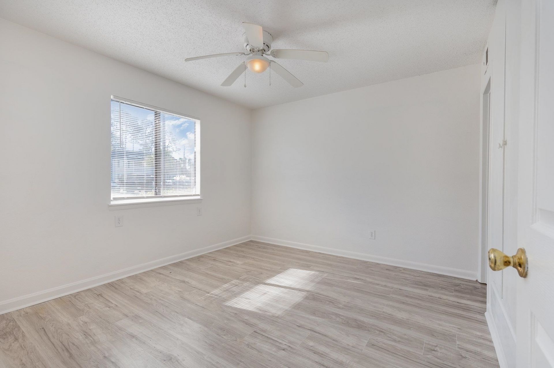 3555 Highway 544  Photo 15