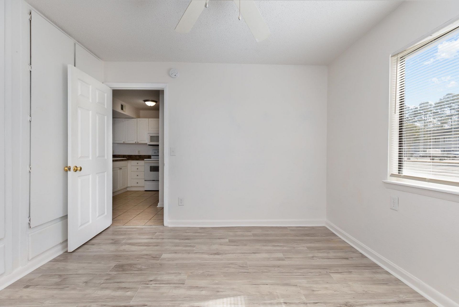 3555 Highway 544  Photo 17