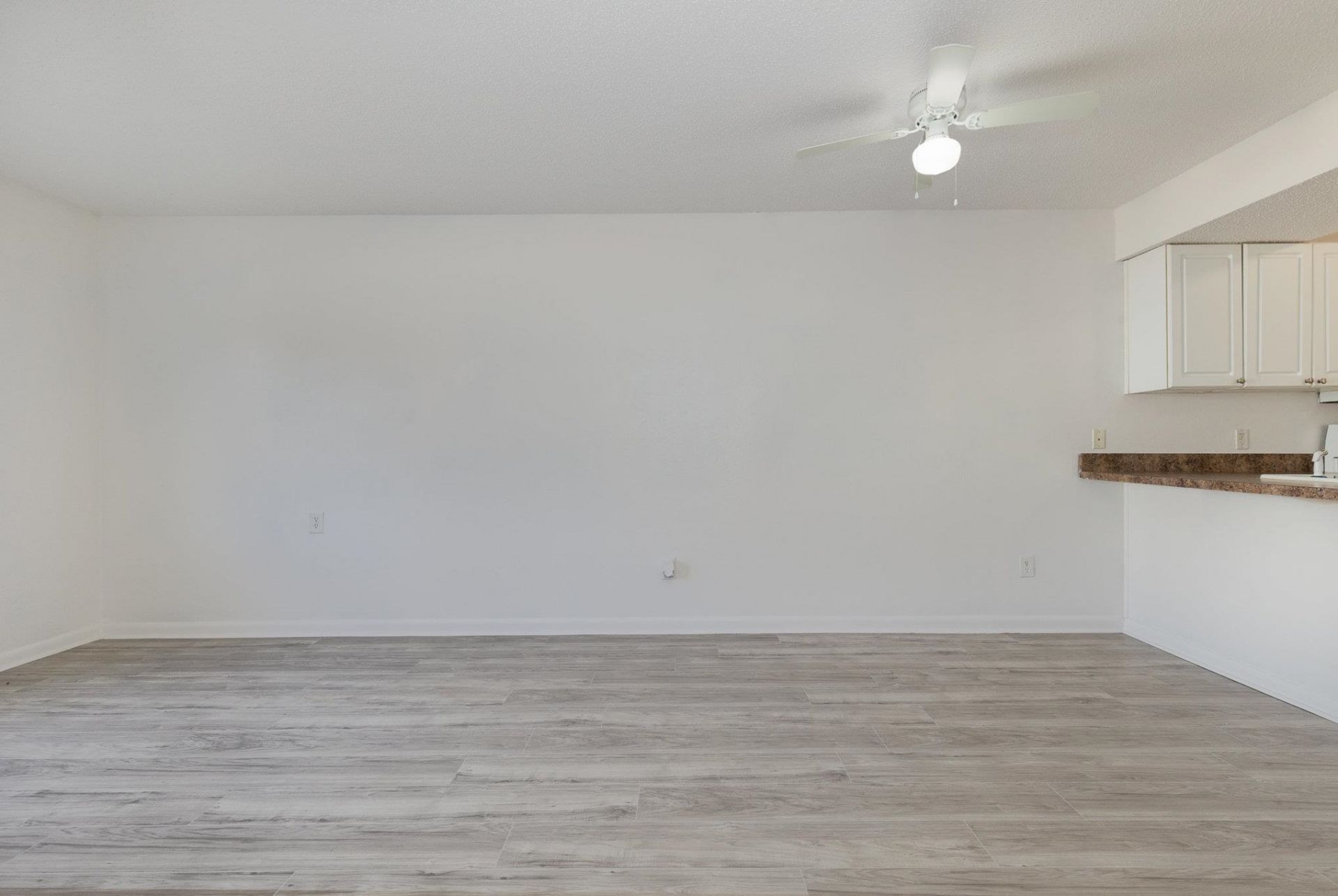3555 Highway 544  Photo 9