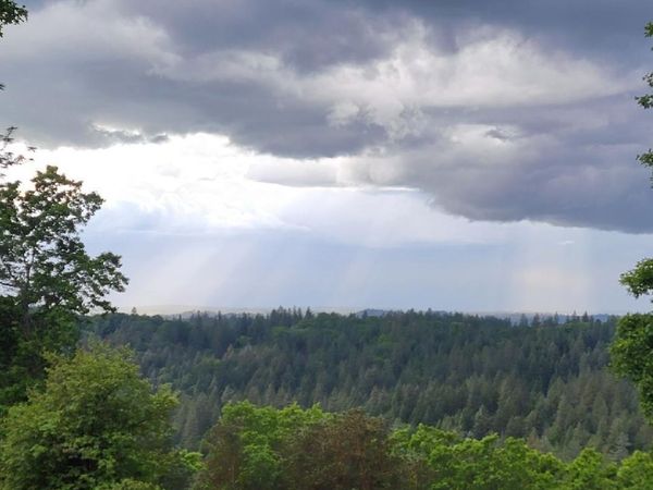 6461 Forest View Dr, Georgetown, CA 95634