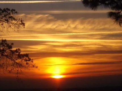 6461 Forest View Dr, Georgetown, CA 95634 Photo