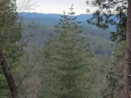 6461 Forest View Dr, Georgetown, CA 95634 Photo