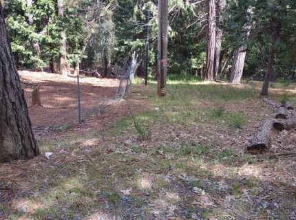 6461 Forest View Dr, Georgetown, CA 95634 Photo