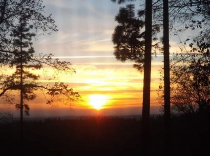6461 Forest View Dr, Georgetown, CA 95634 Photo