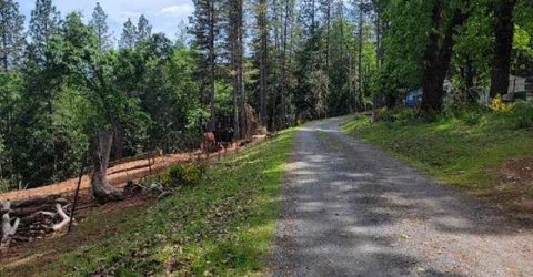 6461 Forest View Dr, Georgetown, CA 95634 Photo