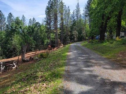 6461 Forest View Dr, Georgetown, CA 95634 Photo