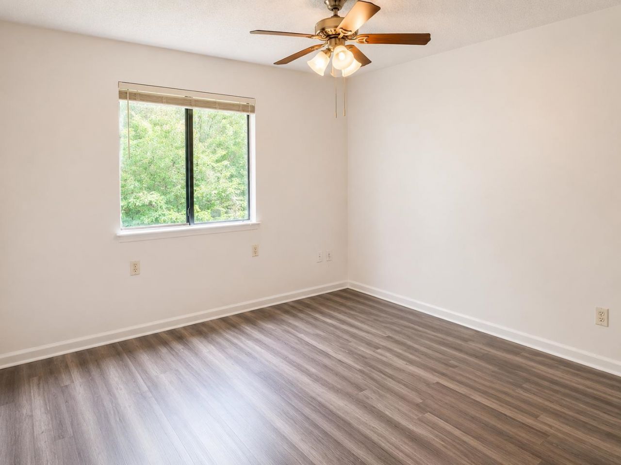 3555 Highway 544  Photo 17