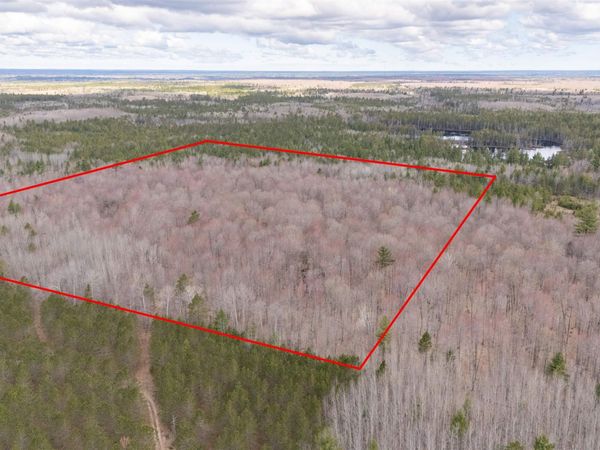 TBD Hiawatha Station Road, Hiawatha Twp, MI 49854
