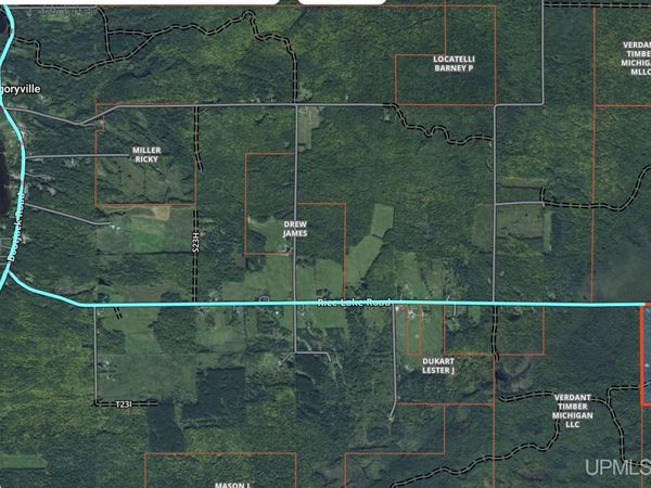 31807 Rice Lake Road, Torch Lake Twp, MI 49945