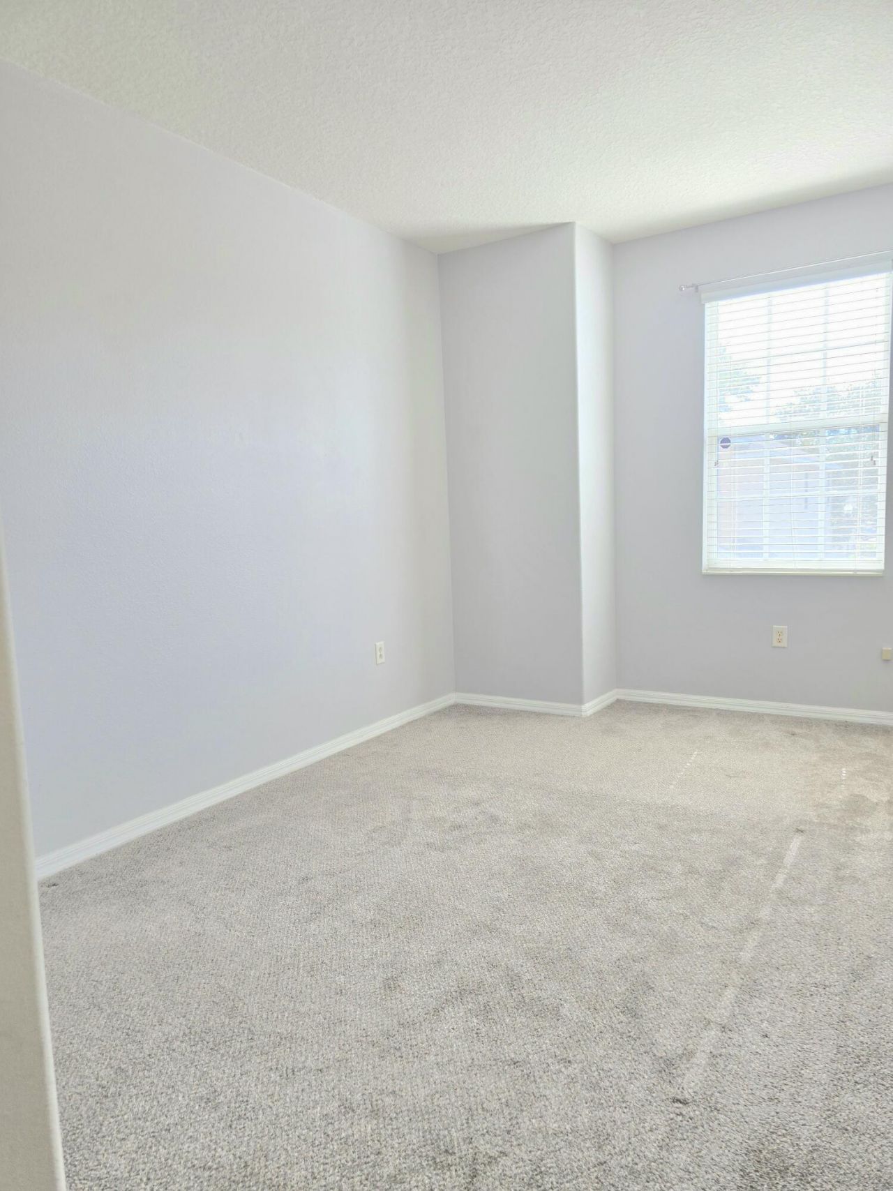 1112 Andrew Aviles Circle, Tampa, FL 33619 Photo