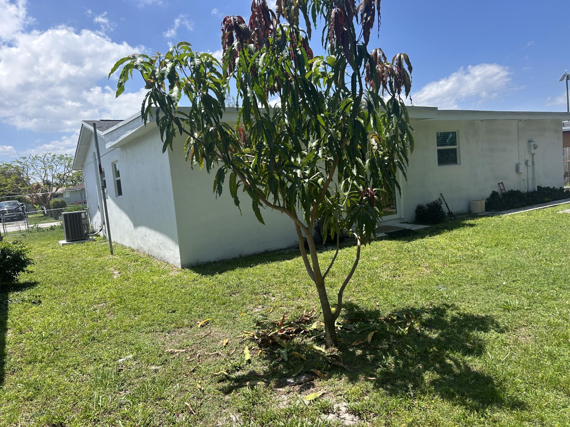 294 Springfield Drive, West Palm Beach, FL 33415 Photo
