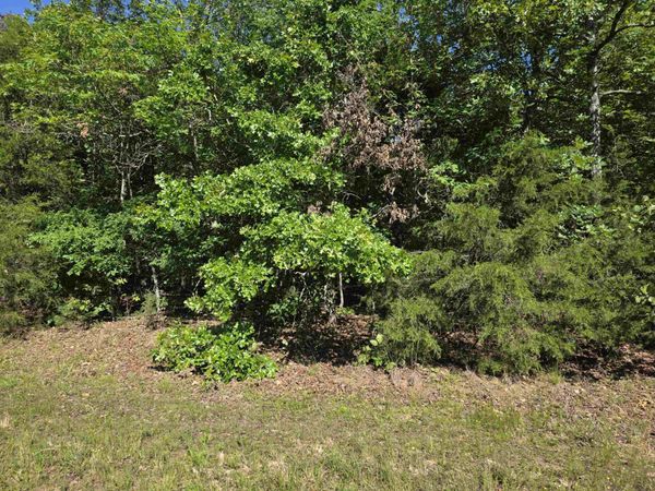 L-52 Barnes Road , Evening Shade, AR 72532