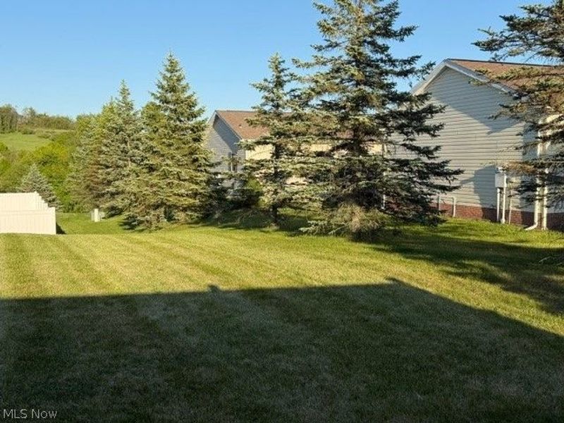 51986 Blue Spruce Drive, Saint Clairsville, OH 43950 Photo 22