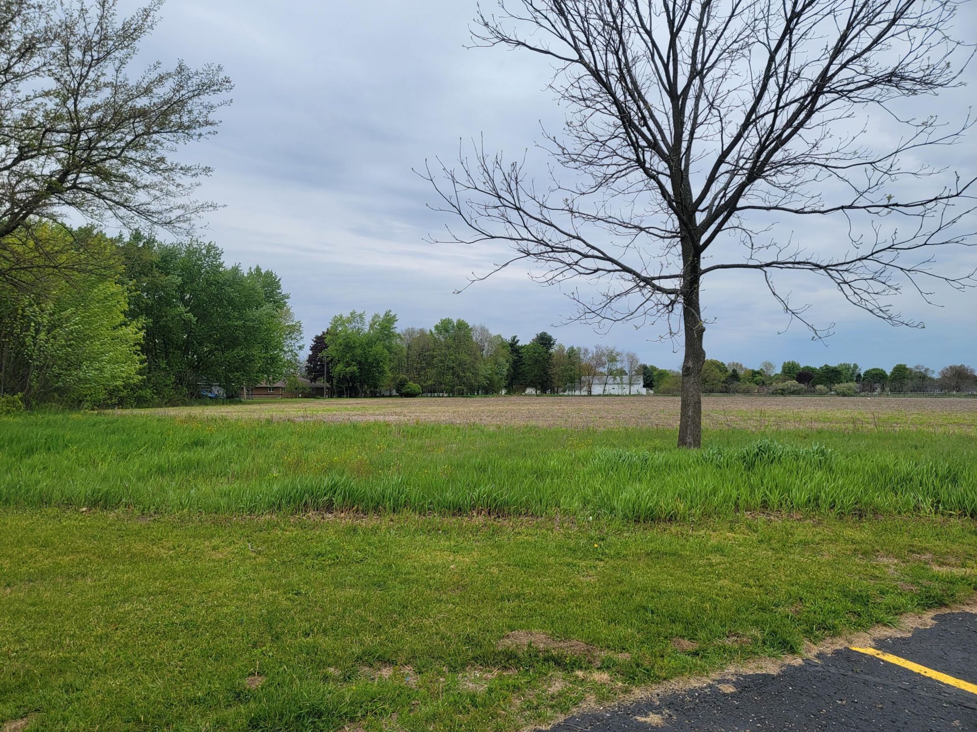 V/l Fawn River Road, Sturgis, MI 49091 Main Photo
