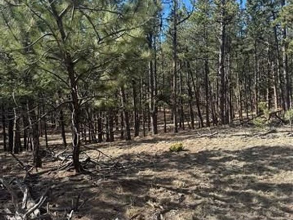 642 Matterhorn Drive, Florissant, CO 80816